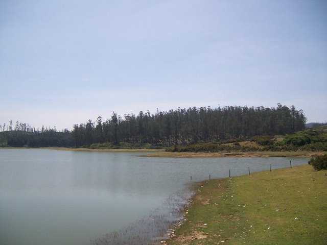 Kamaraj Sagar  Sandynalla Reservoir & Pine Forest