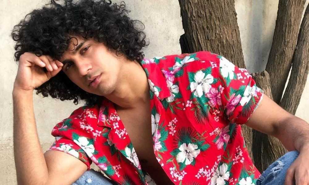 Rahul Gujral (Splitsvilla 12) Wiki, Biography, Age, Movies, Images