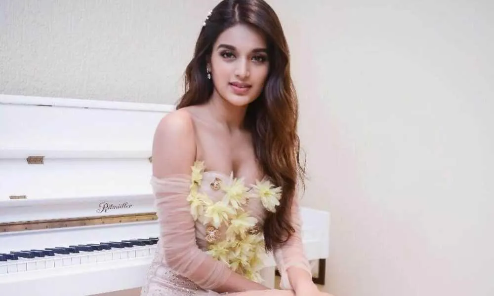 Nidhhi Agerwal Wiki, Biography, Age, Movies, Images